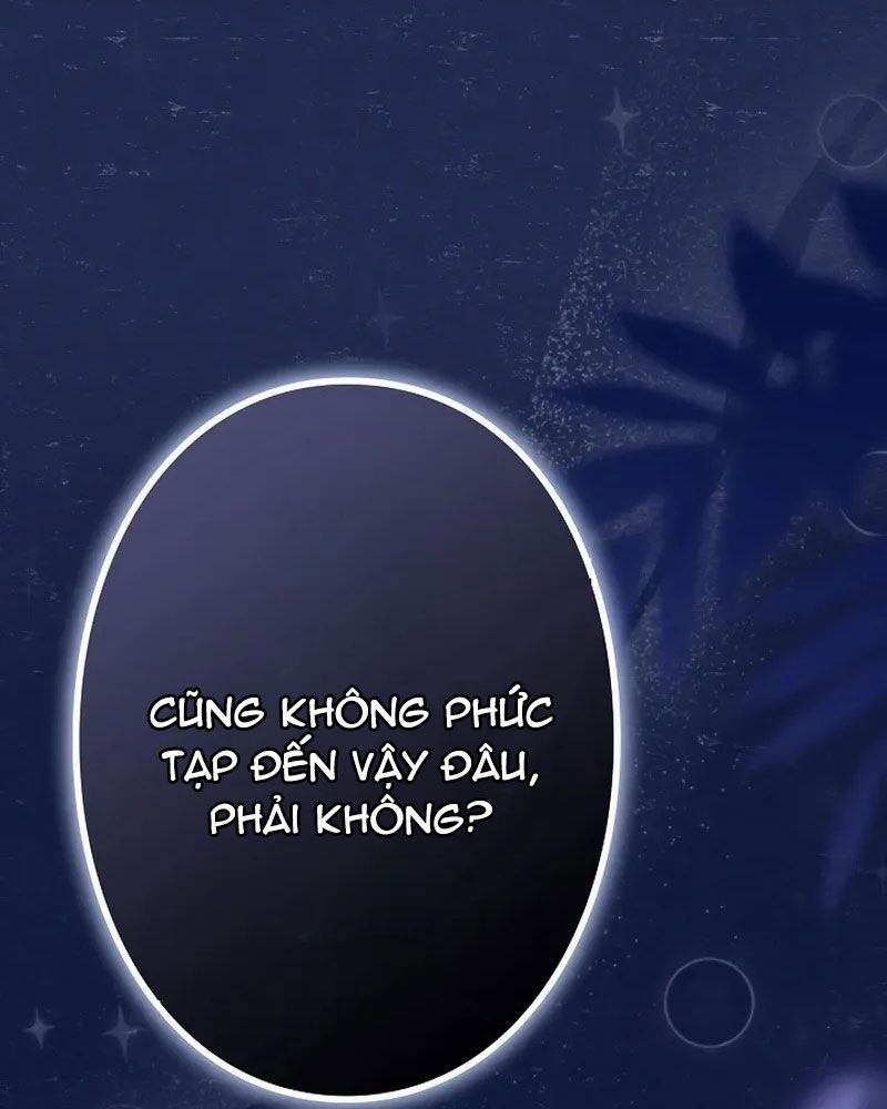 Sự Tái Sinh Của Nhà Thiết Kế Tài Ba 14