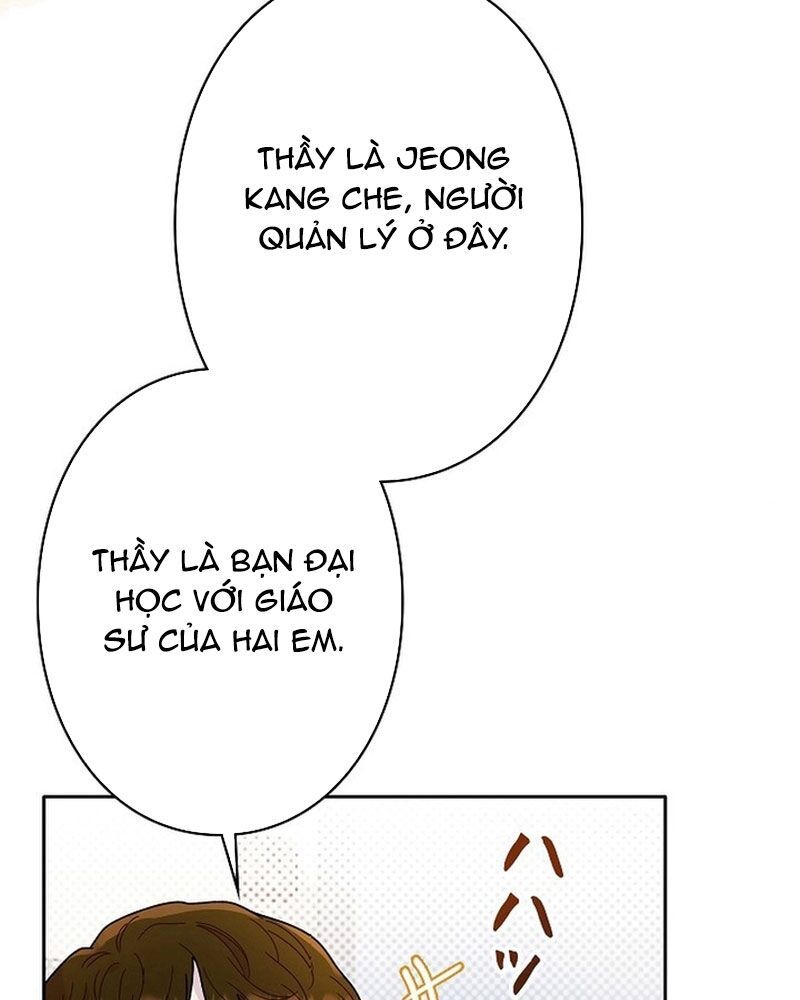 Sự Tái Sinh Của Nhà Thiết Kế Tài Ba 2