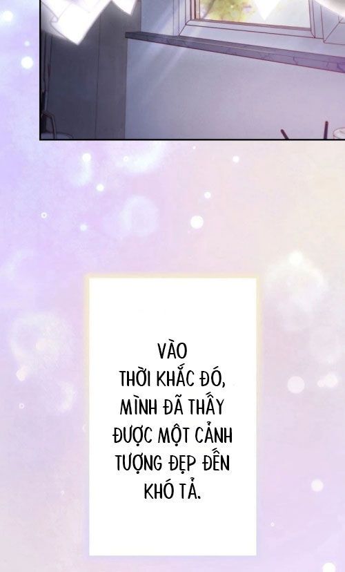 Sự Tái Sinh Của Nhà Thiết Kế Tài Ba 6