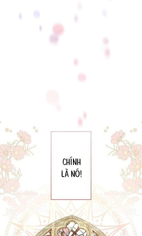 Sự Tái Sinh Của Nhà Thiết Kế Tài Ba 6