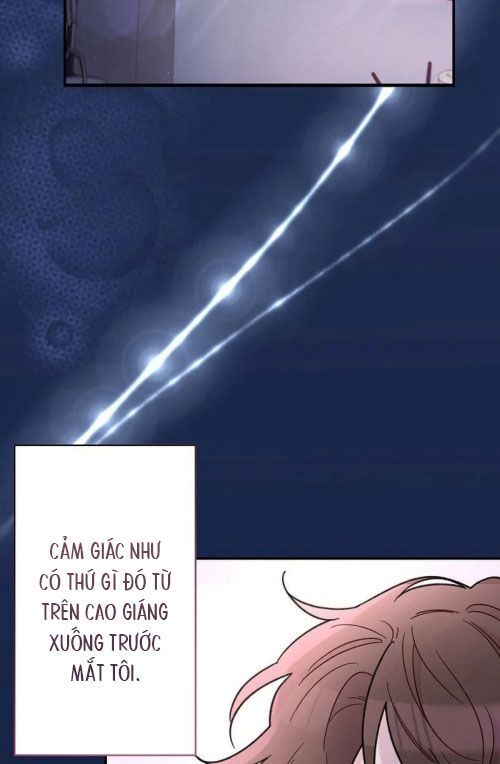 Sự Tái Sinh Của Nhà Thiết Kế Tài Ba 7