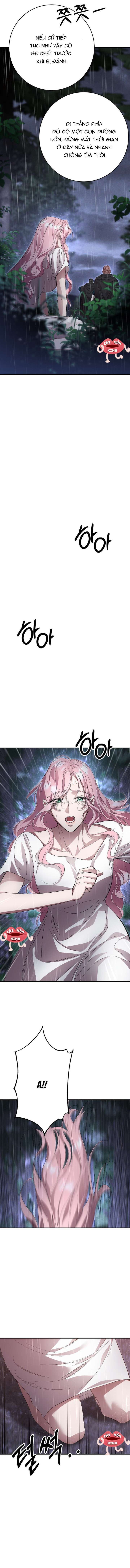 Cuộc Hôn Nhân Bị Bắt Cóc Xuyên Thời Gian Của Hoàng Hậu 31