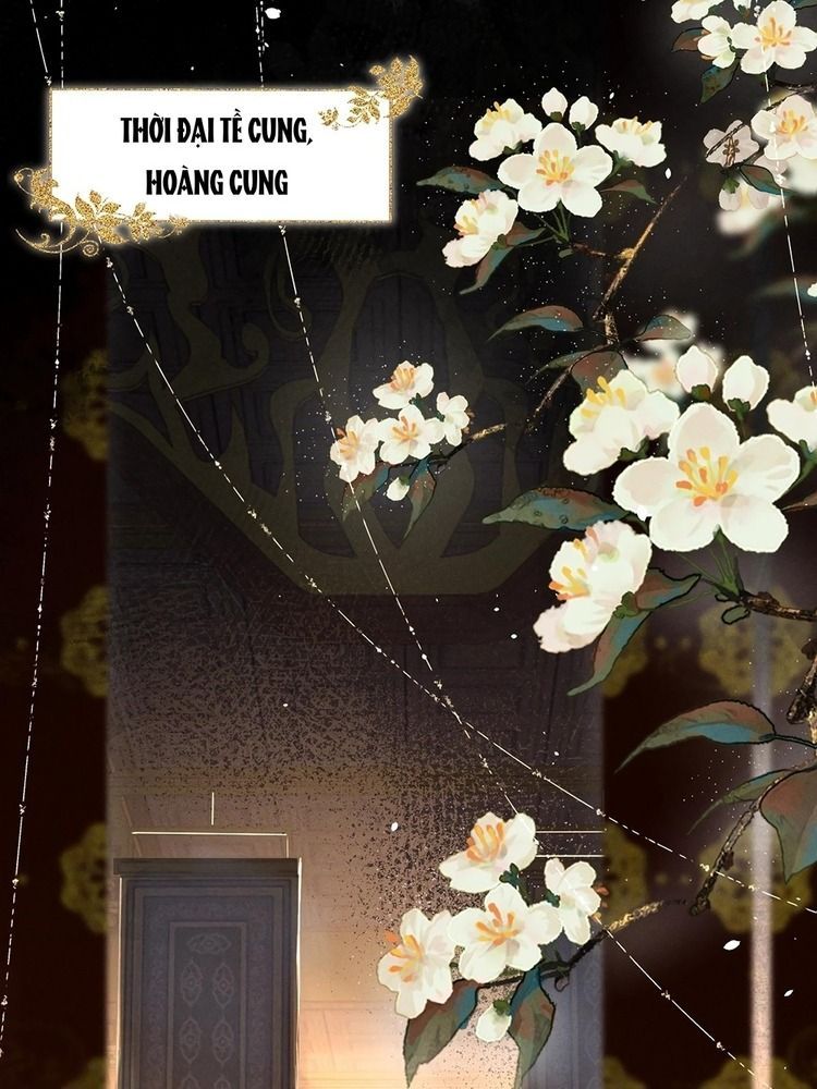 Đứt Cương 1