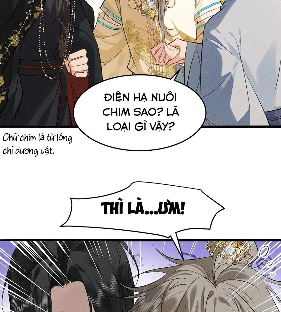 Đứt Cương 12