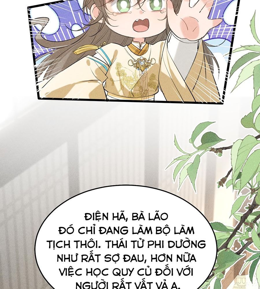 Đứt Cương 13