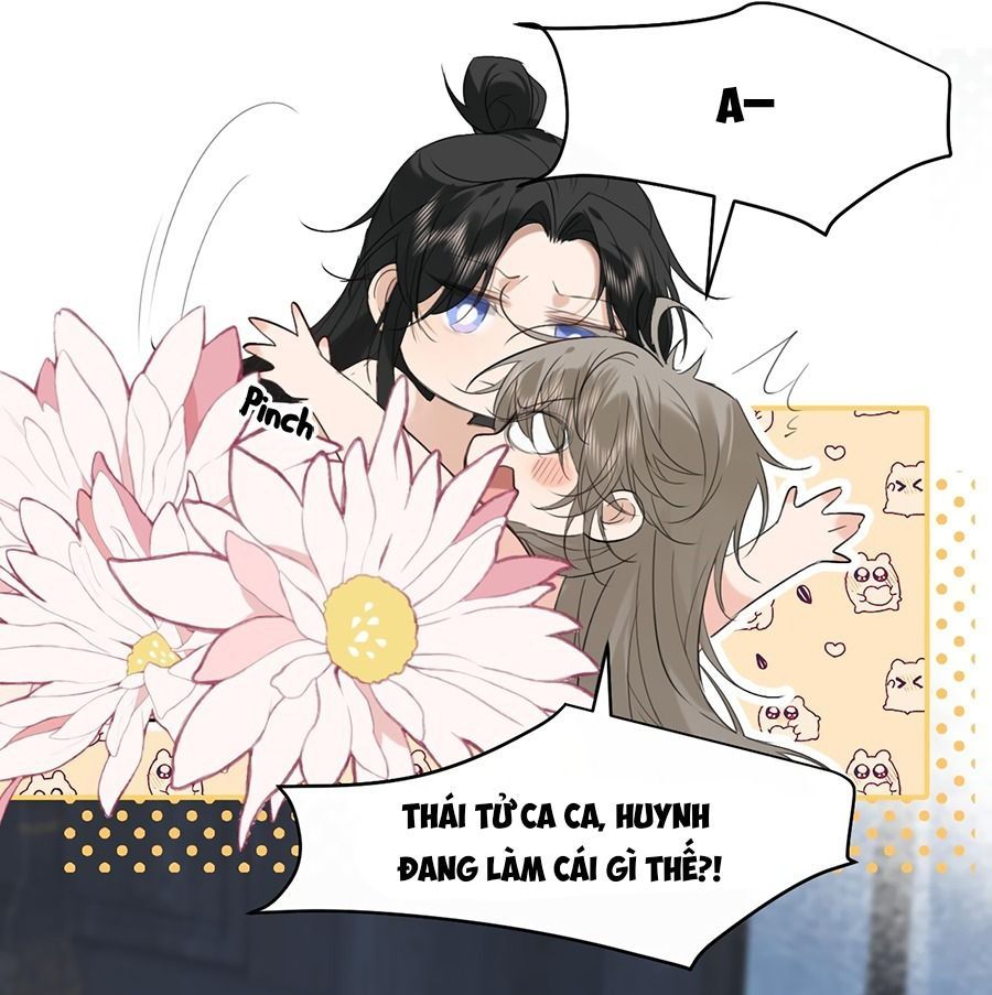 Đứt Cương 15