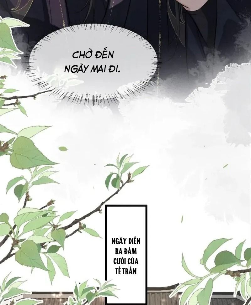 Đứt Cương 46