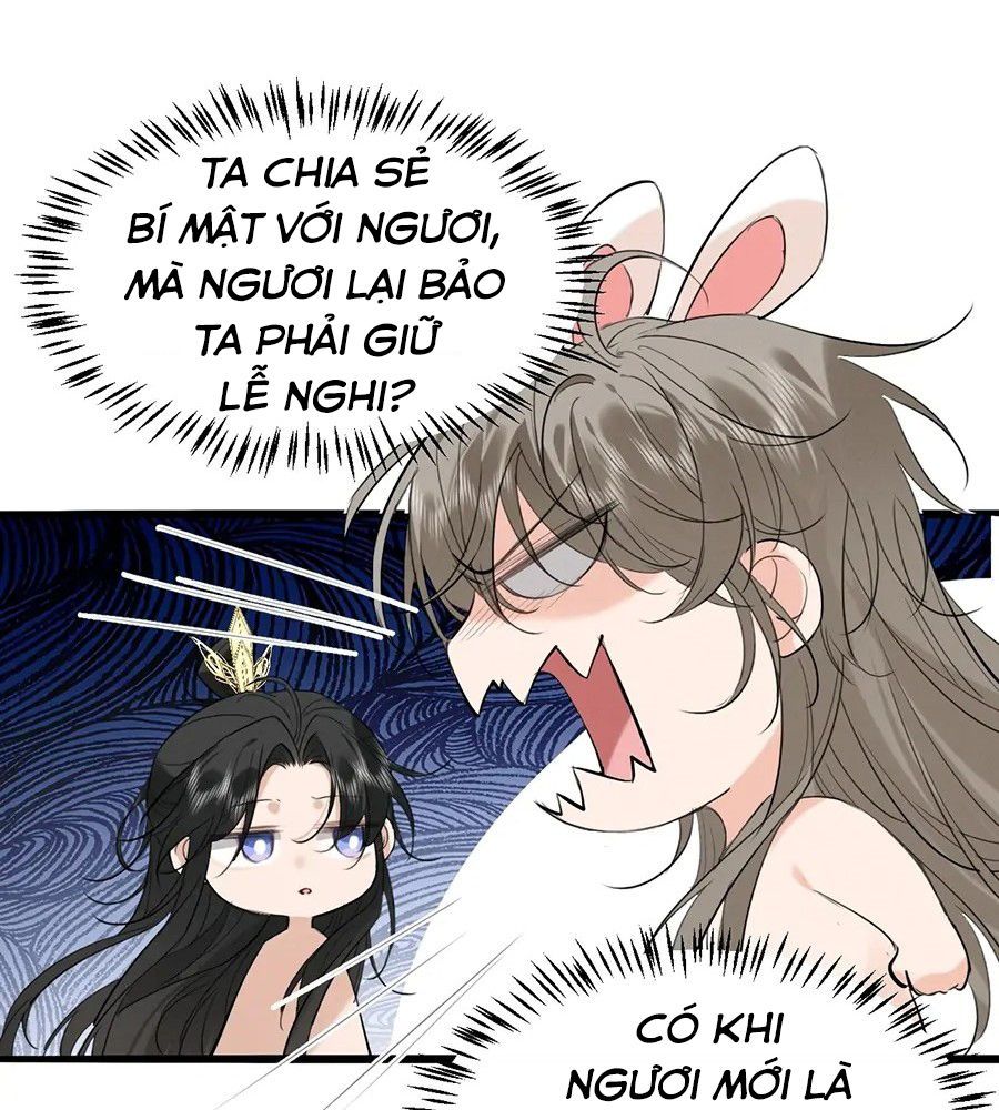 Đứt Cương 8