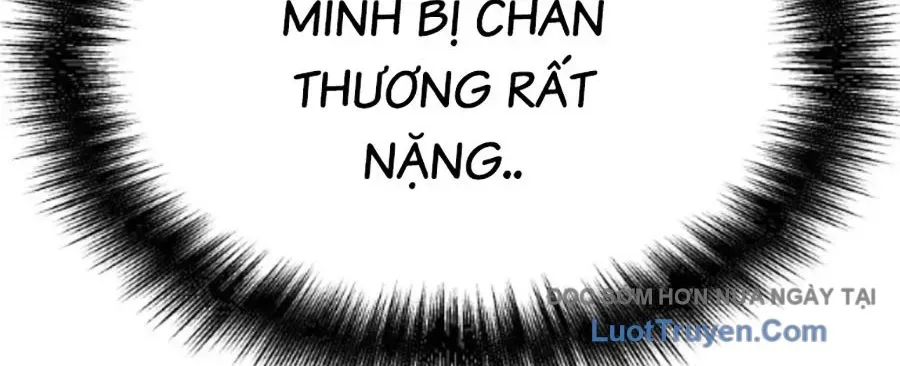 Bạo Lực Vương 71