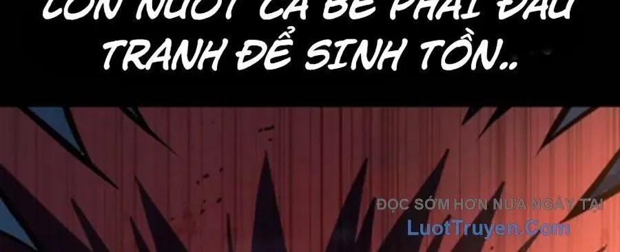 Bạo Lực Vương 71