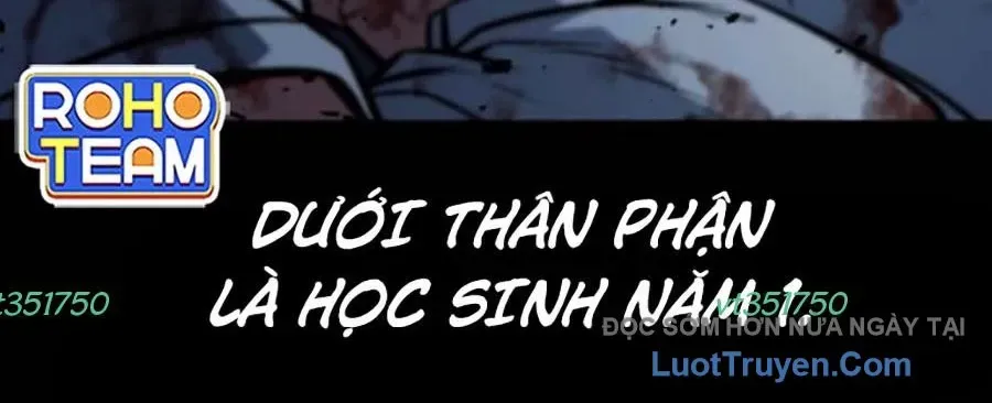 Bạo Lực Vương 71