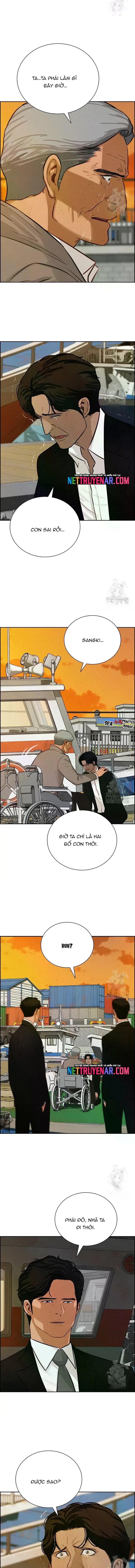 Chúa Tể Đồng Tiền 227