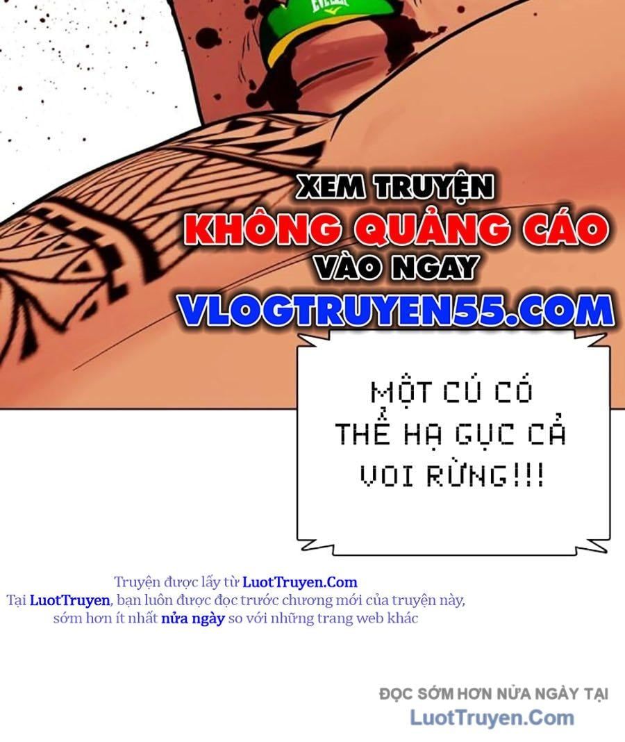 Loser Giỏi Võ 144