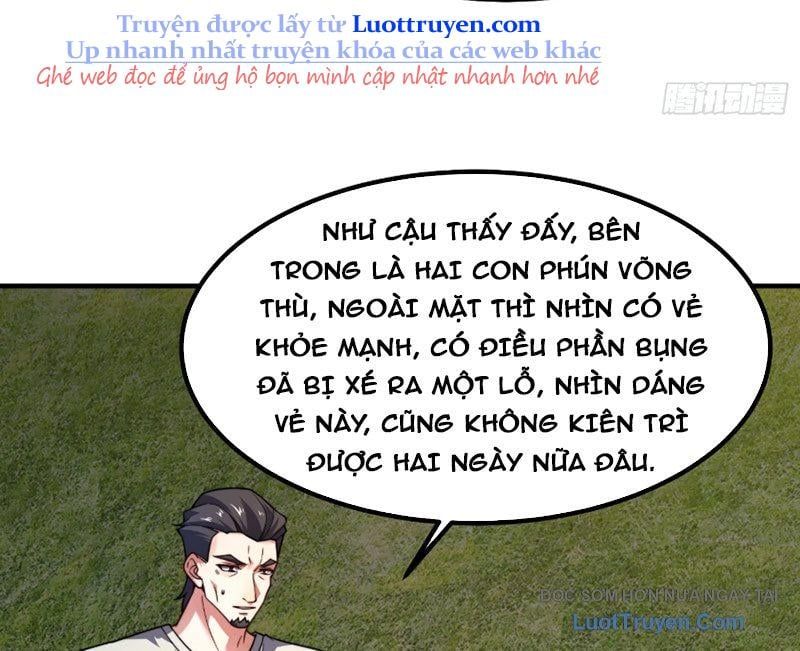 Ngự Thú Tiến Hóa 4