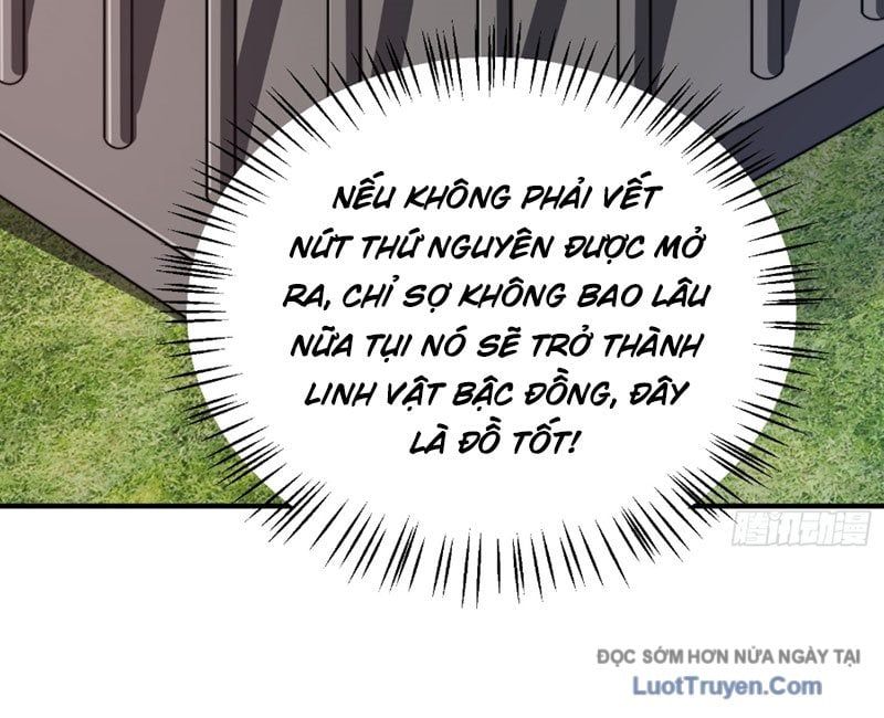 Ngự Thú Tiến Hóa 4