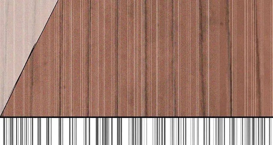 Chiền Thần Tự Sát Hồi Quy 113