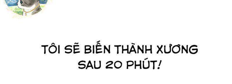 Chiền Thần Tự Sát Hồi Quy 14