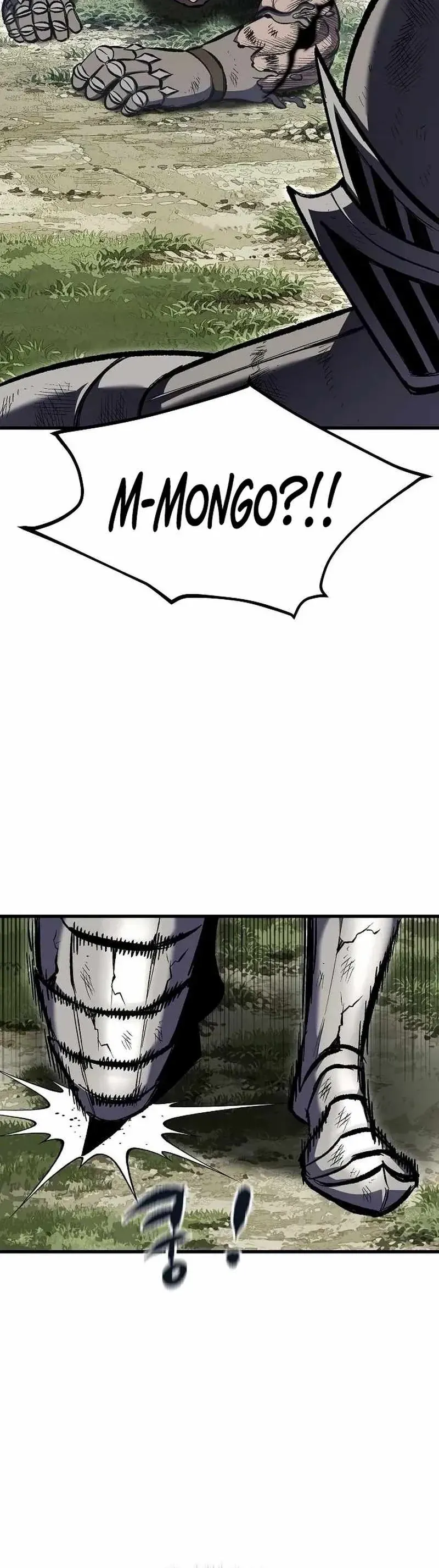 Biên Niên Sử Của Runes 15