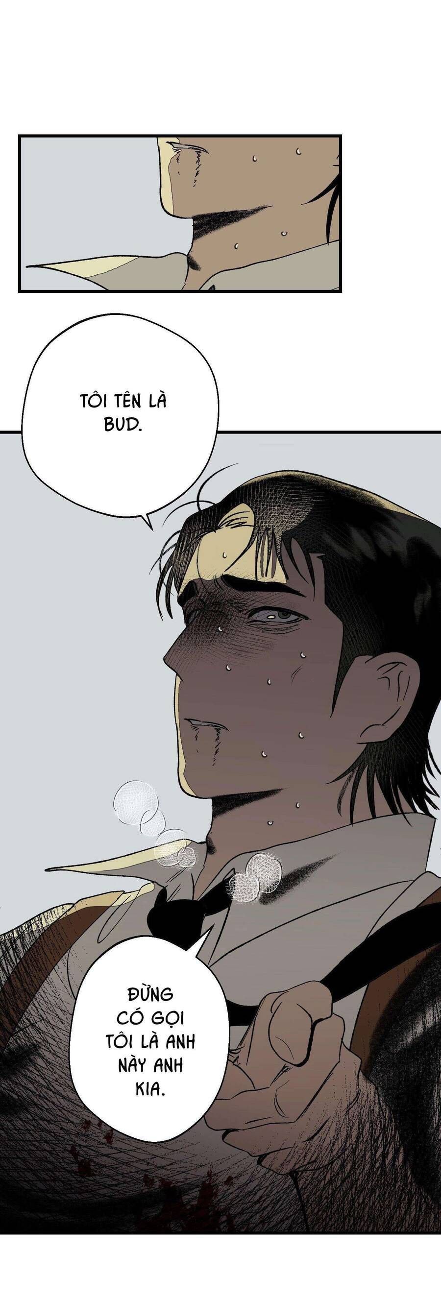 Melt - Phước Lành 4