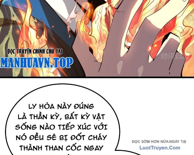 Người Khác Luyện Cấp Ta Tu Tiên, Tới Đại Thừa Kỳ Thì Rời Núi 12