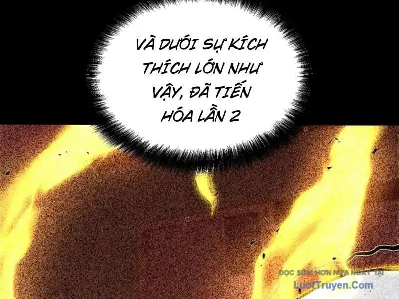 Thức Tỉnh Toàn Chức 42