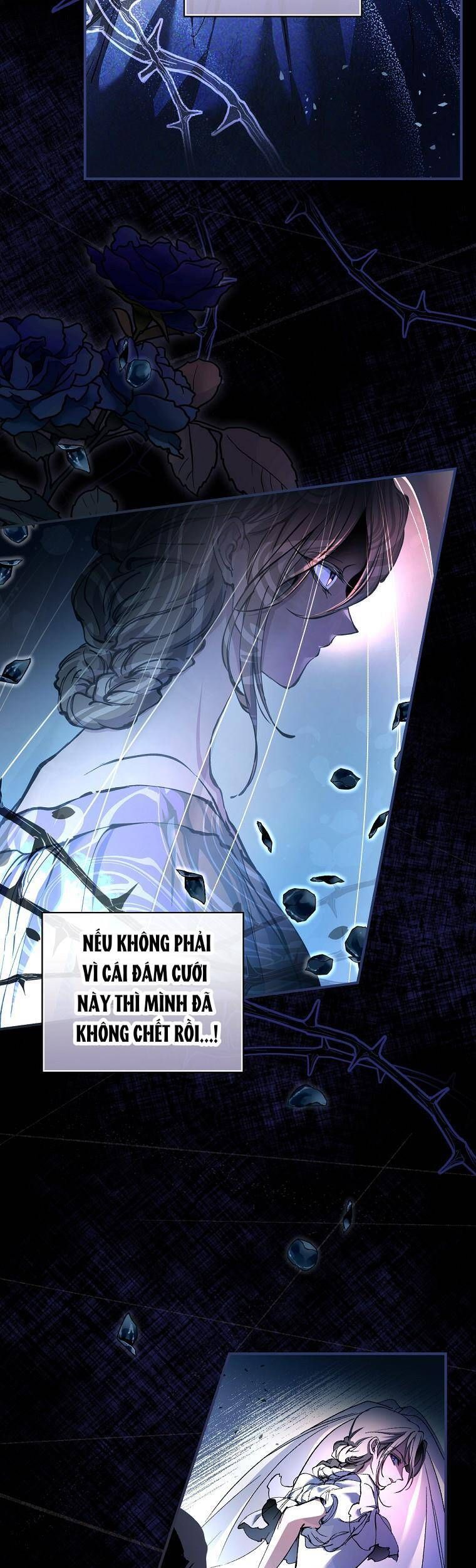 Tìm Một Người Chồng Mới 1