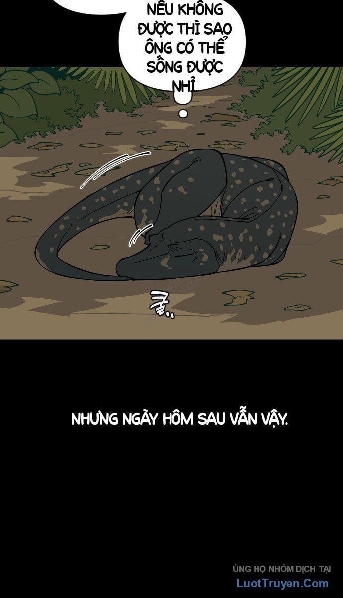 Động Vật Tiền Sử 6