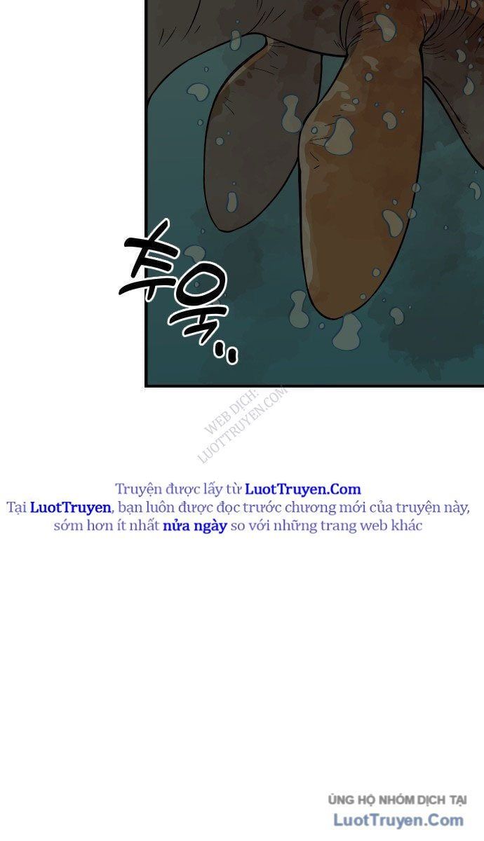 Động Vật Tiền Sử 6