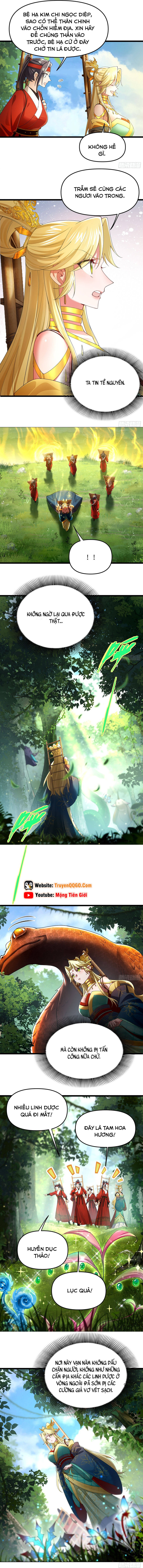 Kim Đan Là Hằng Tinh, Ngươi Gọi Đây Là Tu Tiên À? 8
