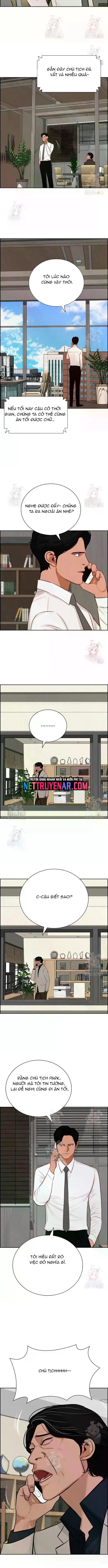 Chúa Tể Đồng Tiền 241