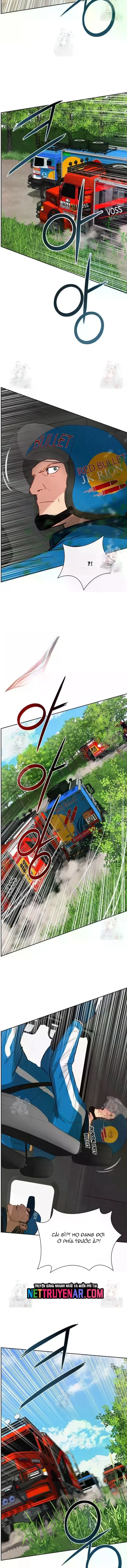 Chúa Tể Đồng Tiền 242