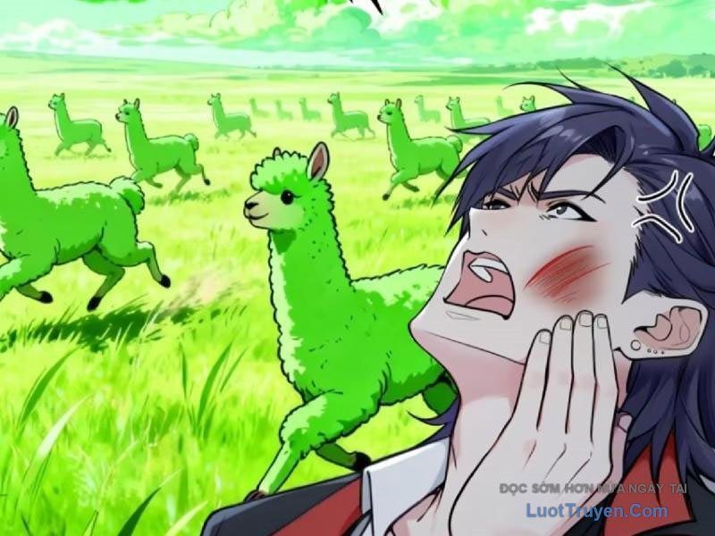 Sau Khi Đầu Thai Ta Được Kẻ Thù Khắc Thành Vô Địch [Chap 33]