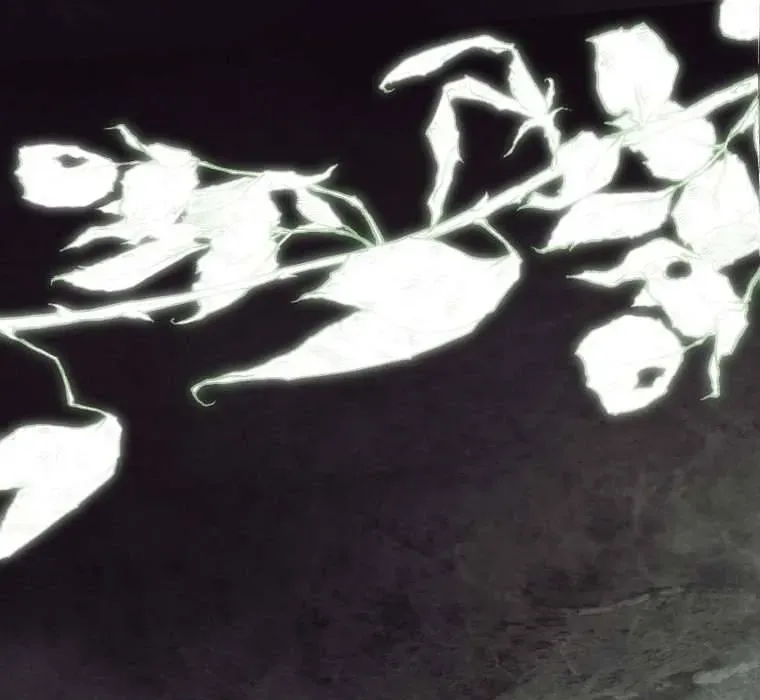 Hoa Bên Lưỡi Kiếm [Chap 1-44]