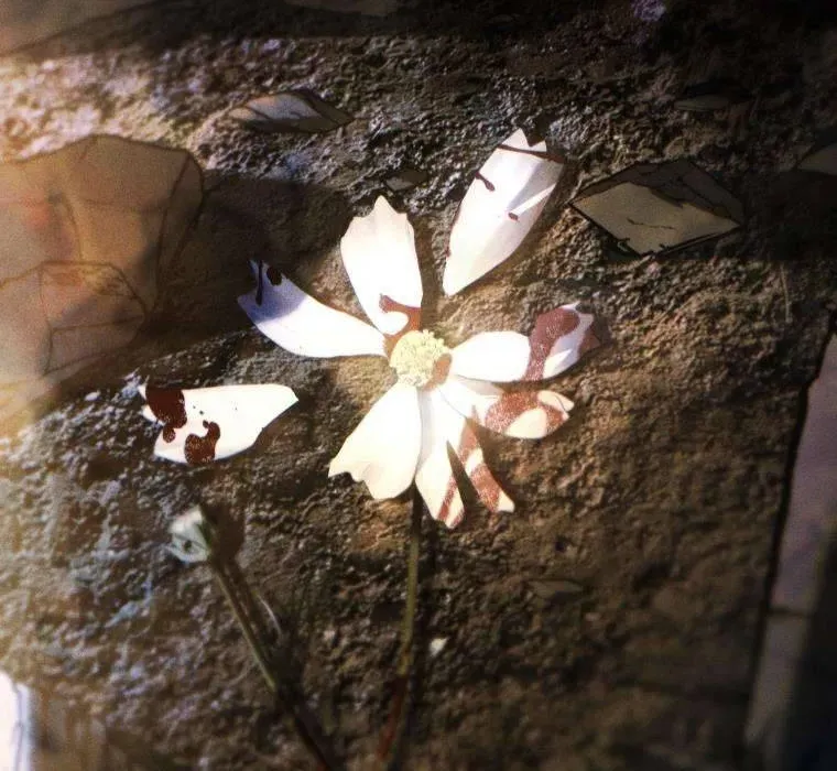 Hoa Bên Lưỡi Kiếm [Chap 1-44]