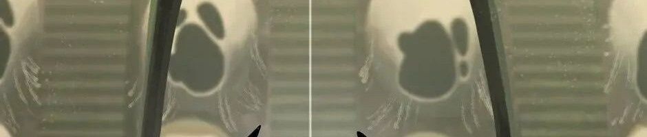 Câu Chuyện Sinh Tồn Của Kiếm Vương Ở Thế Giới Khác [Chap 12-61]