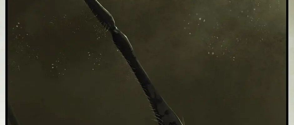 Câu Chuyện Sinh Tồn Của Kiếm Vương Ở Thế Giới Khác [Chap 12-61]