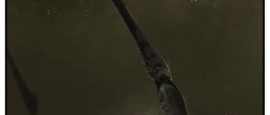 Câu Chuyện Sinh Tồn Của Kiếm Vương Ở Thế Giới Khác [Chap 12-61]