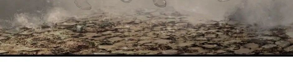 Câu Chuyện Sinh Tồn Của Kiếm Vương Ở Thế Giới Khác [Chap 12-61]