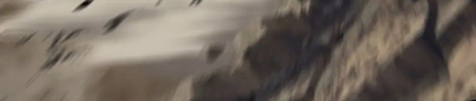 Câu Chuyện Sinh Tồn Của Kiếm Vương Ở Thế Giới Khác [Chap 12-61]