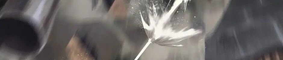 Câu Chuyện Sinh Tồn Của Kiếm Vương Ở Thế Giới Khác [Chap 12-61]