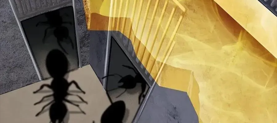 Câu Chuyện Sinh Tồn Của Kiếm Vương Ở Thế Giới Khác [Chap 12-61]