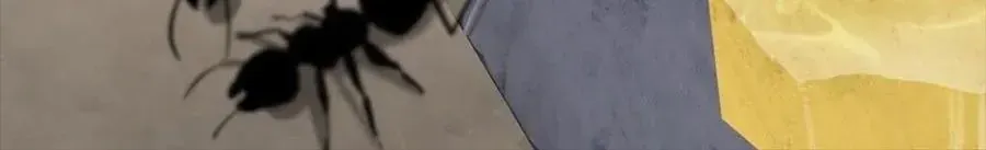 Câu Chuyện Sinh Tồn Của Kiếm Vương Ở Thế Giới Khác [Chap 12-61]