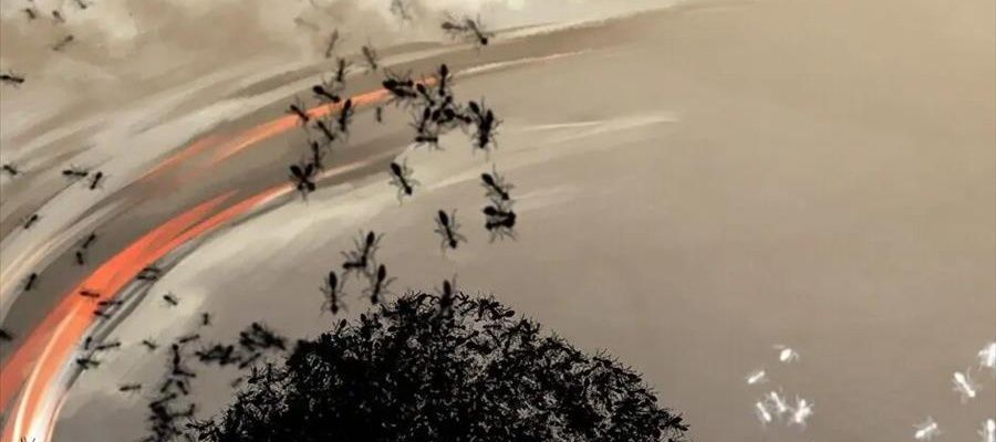 Câu Chuyện Sinh Tồn Của Kiếm Vương Ở Thế Giới Khác [Chap 12-61]