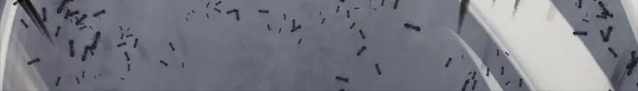 Câu Chuyện Sinh Tồn Của Kiếm Vương Ở Thế Giới Khác [Chap 12-61]