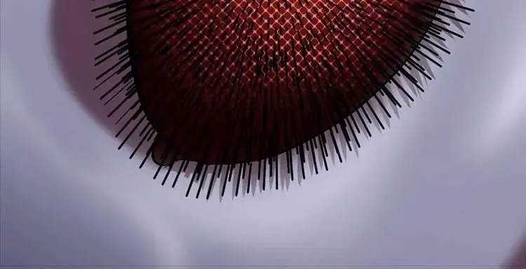 Câu Chuyện Sinh Tồn Của Kiếm Vương Ở Thế Giới Khác [Chap 12-61]