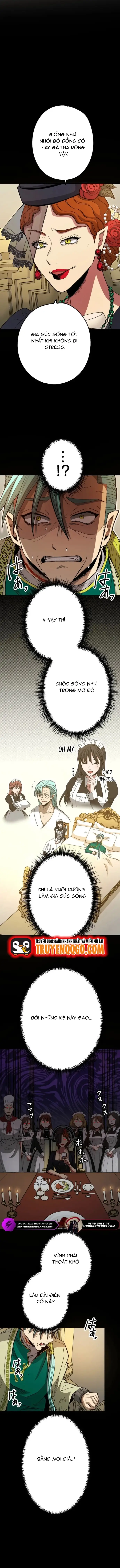 Thợ Săn Hồi Quy Giả [Chap 1-24]