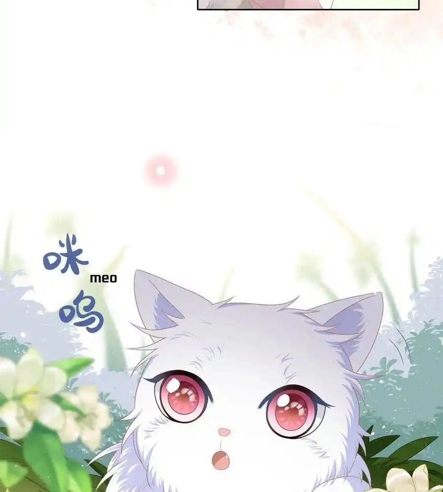 Làm Ảnh Hậu Không Bằng Học Thanh Hoa [Chap 1-85]