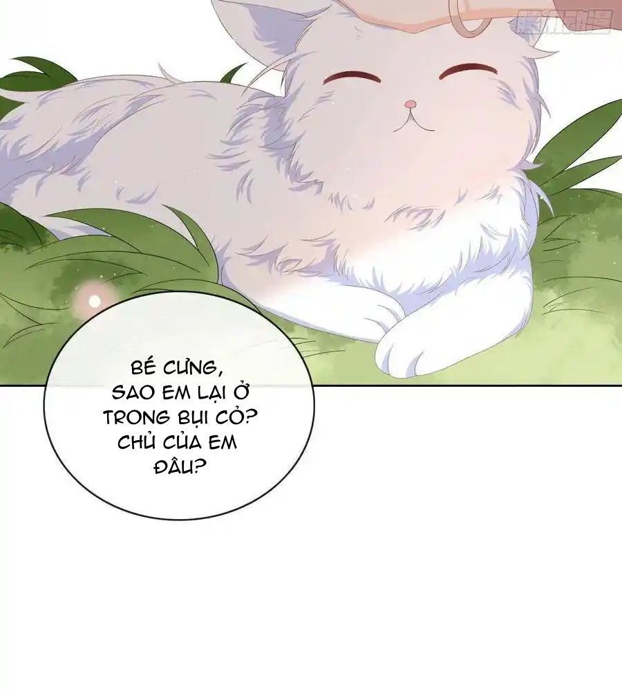 Làm Ảnh Hậu Không Bằng Học Thanh Hoa [Chap 1-85]