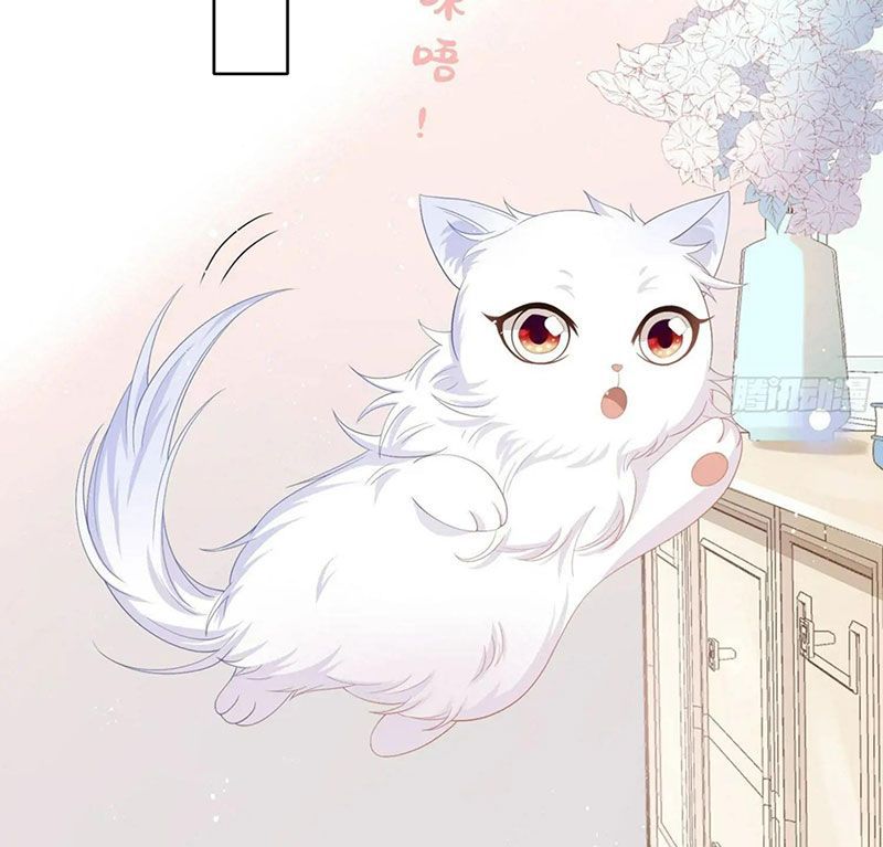 Làm Ảnh Hậu Không Bằng Học Thanh Hoa [Chap 1-85]