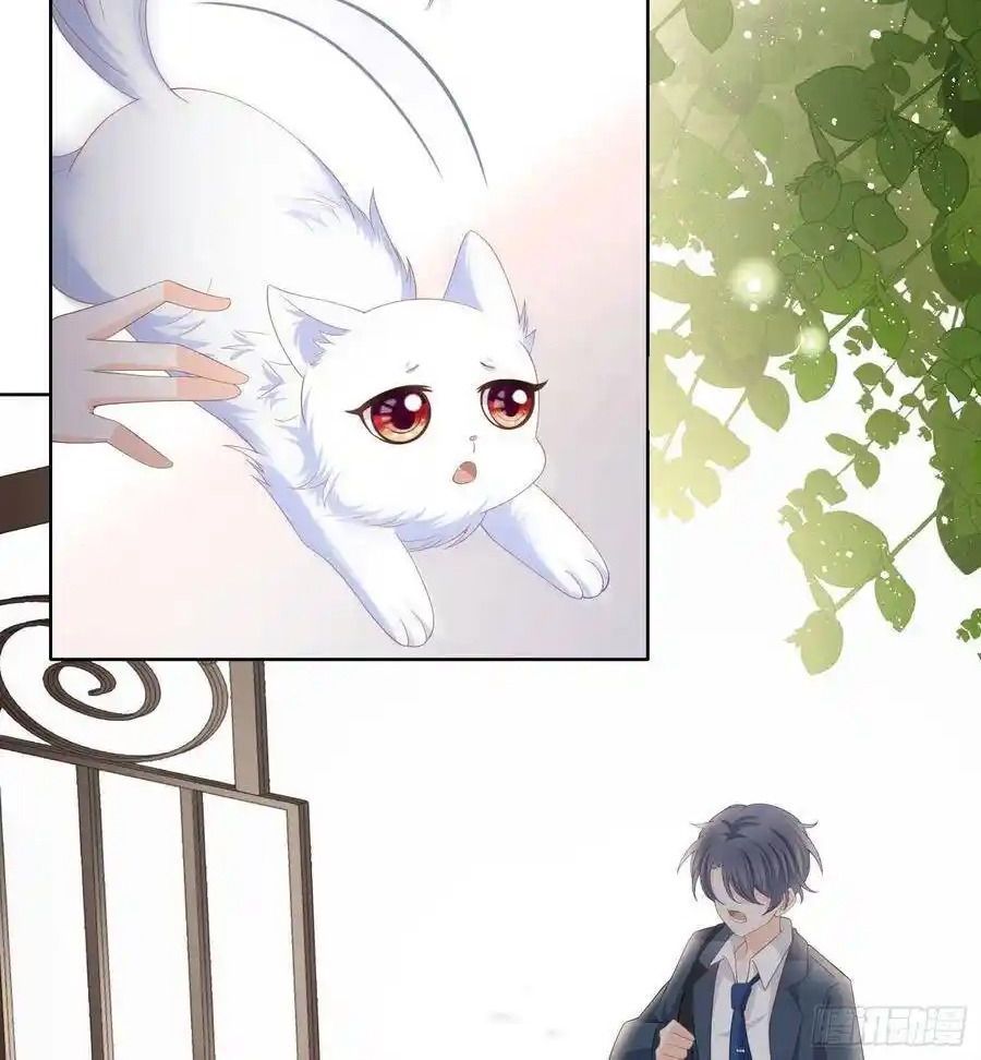 Làm Ảnh Hậu Không Bằng Học Thanh Hoa [Chap 1-85]